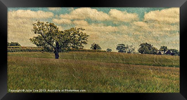 Field Of Texture 2 Framed Print by Julie Coe