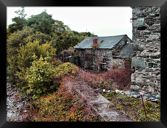 House On A River Framed Print by Michael Braham