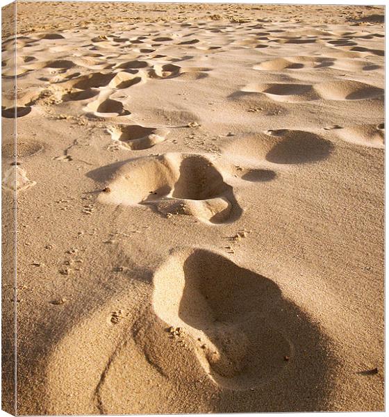 Steps on the sand Canvas Print by Dorianne Austin