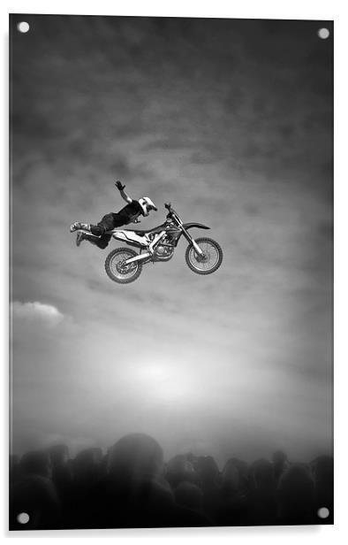 Flying High Acrylic by Jason Green