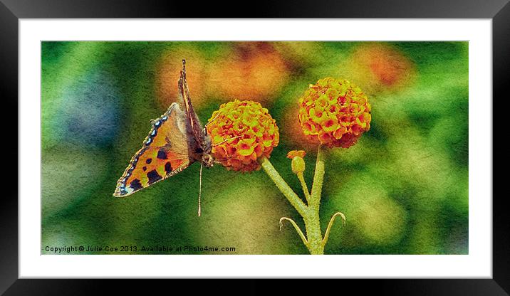 Small Tortoiseshell Butterfly Framed Mounted Print by Julie Coe