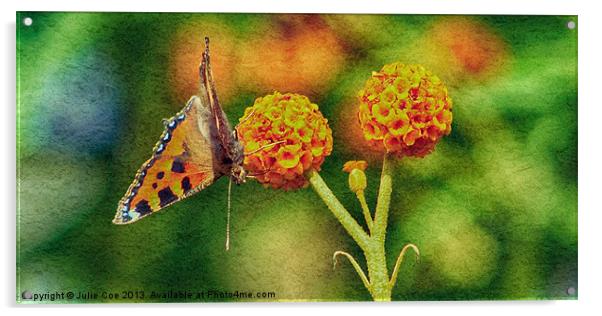 Small Tortoiseshell Butterfly Acrylic by Julie Coe
