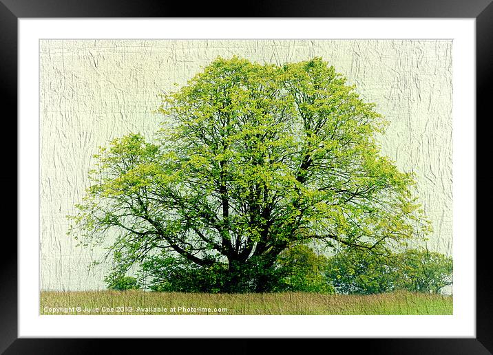 A Tree Framed Mounted Print by Julie Coe