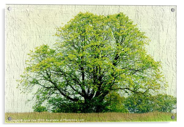 A Tree Acrylic by Julie Coe