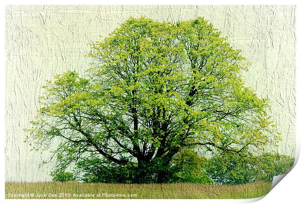 A Tree Print by Julie Coe