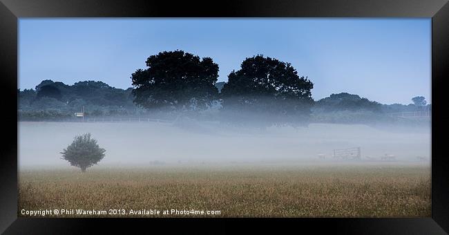 Misty Meadow Framed Print by Phil Wareham