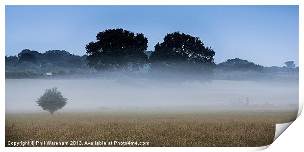 Misty Meadow Print by Phil Wareham