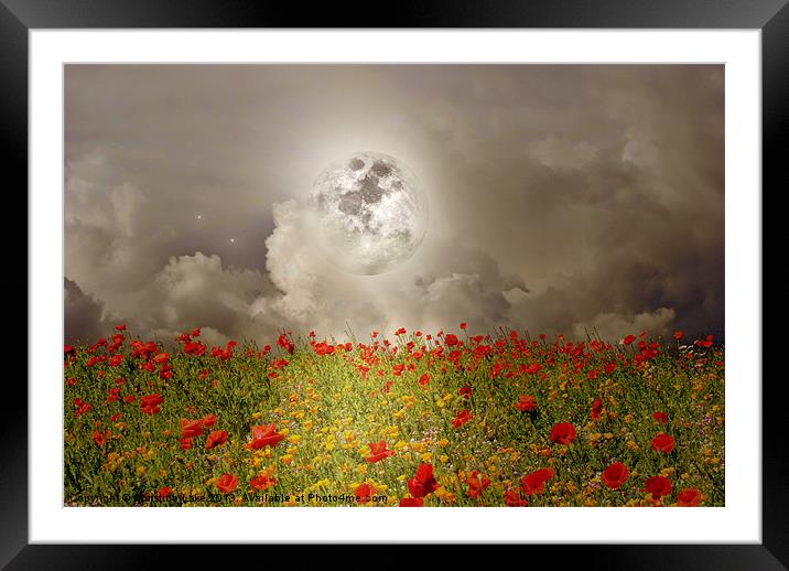 Poppies By Moonlight Framed Mounted Print by Christine Lake