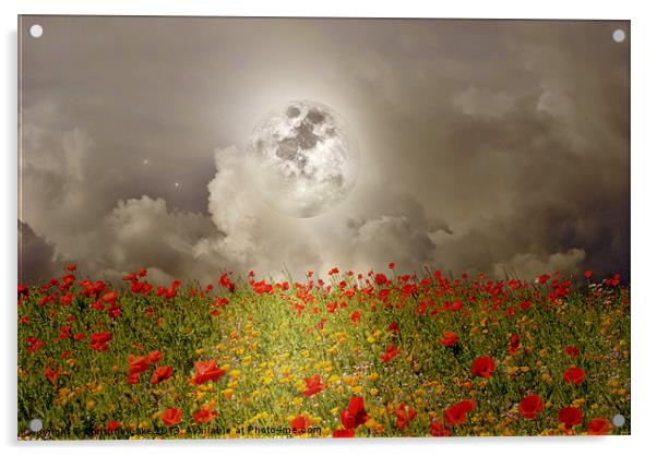 Poppies By Moonlight Acrylic by Christine Lake