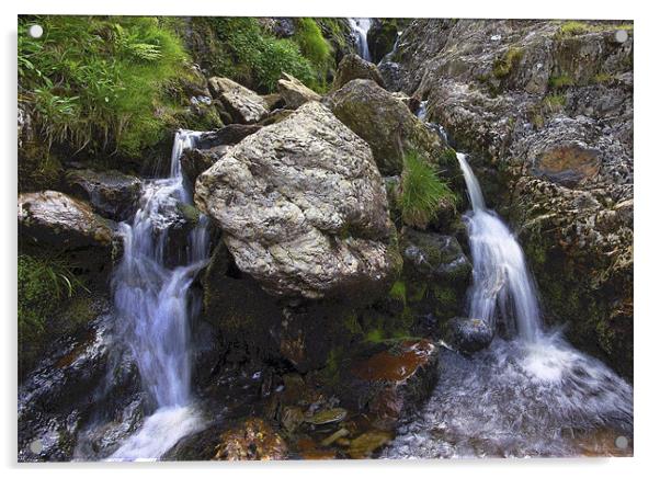 Moss Beck Waterfall Acrylic by Darren Burroughs