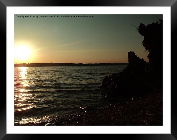 Stumps at Sunset Framed Mounted Print by Pics by Jody Adams