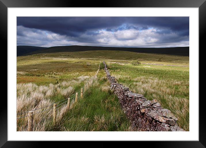 Between the Lines -  Sarn Helen , Mid Wales Framed Mounted Print by Elaine Steed