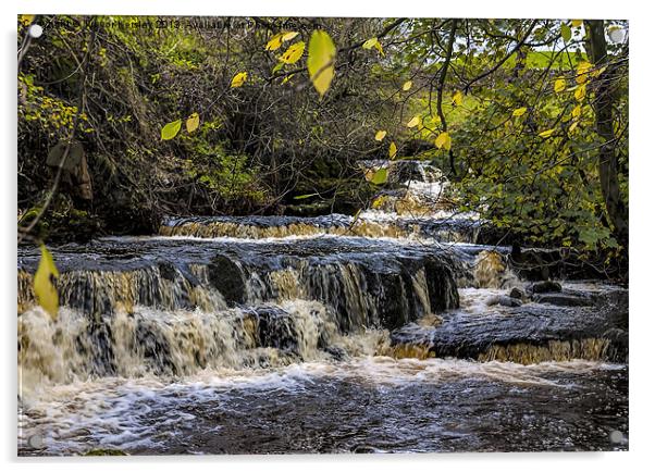 Dales Waterfalls Acrylic by Trevor Kersley RIP