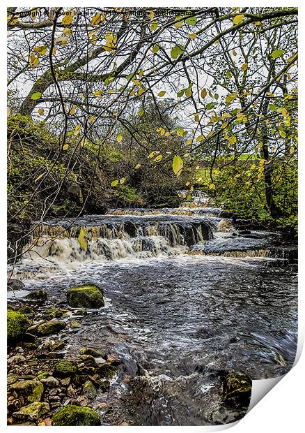 Dales Waterfall Print by Trevor Kersley RIP