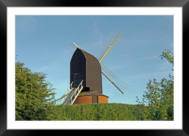 Windmill at Brill Framed Mounted Print by Tony Murtagh