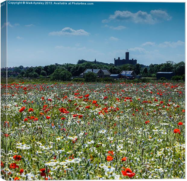 Warkworth meadow. Canvas Print by Mark Aynsley