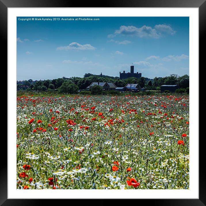 Warkworth meadow. Framed Mounted Print by Mark Aynsley