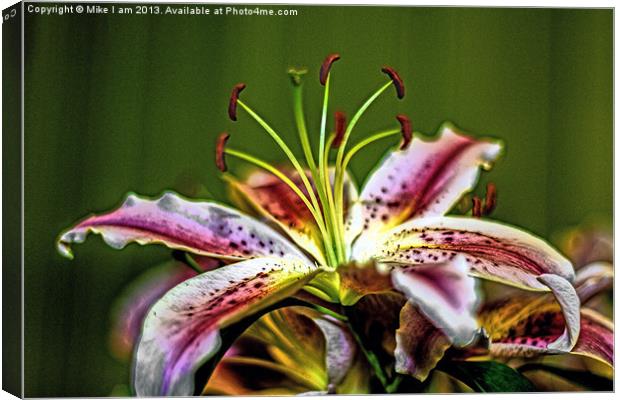 Lillies Canvas Print by Thanet Photos