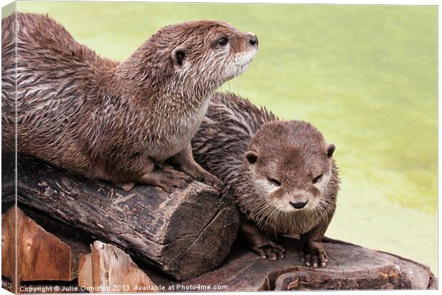 Happy Otters Canvas Print by Julie Ormiston