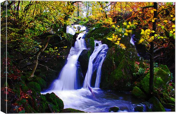 Stock Gyll Force water fall Canvas Print by Gö Vān