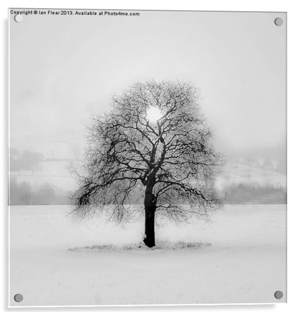 Mystical Tree Acrylic by Ian Flear