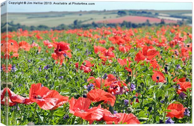 Poppies Compton west Berkshire Canvas Print by Jim Hellier