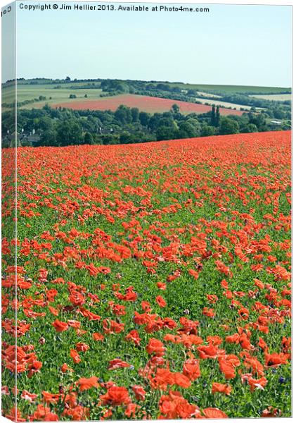 Poppies In West Berkshire Canvas Print by Jim Hellier