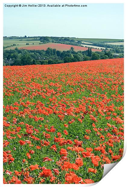 Poppies In West Berkshire Print by Jim Hellier