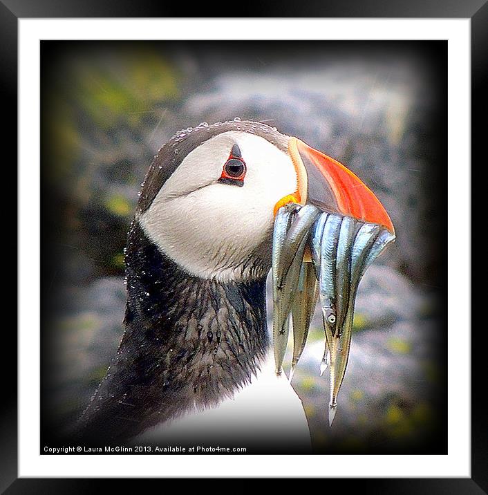 Wet and Wild Framed Mounted Print by Laura McGlinn Photog