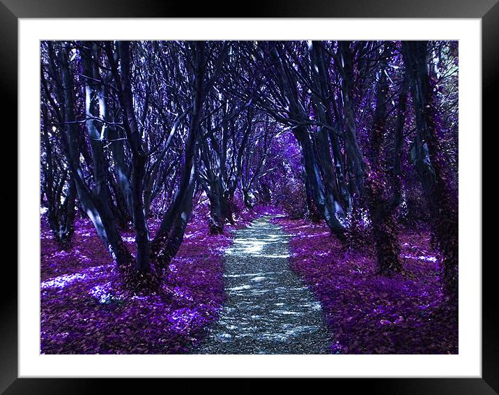 A Lilac Coloured Walk Framed Mounted Print by Martin Albones