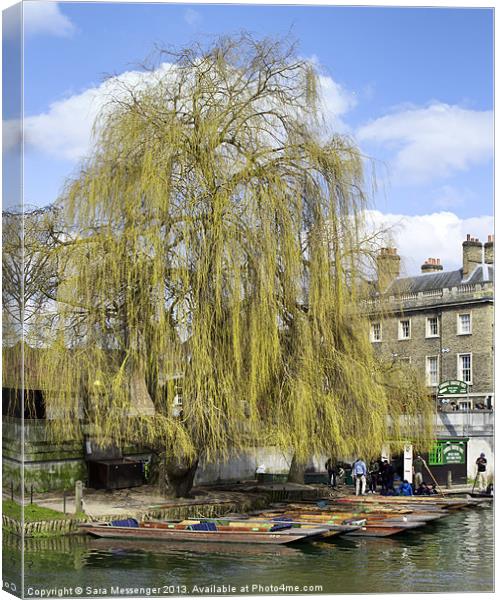 Weeping willow Canvas Print by Sara Messenger