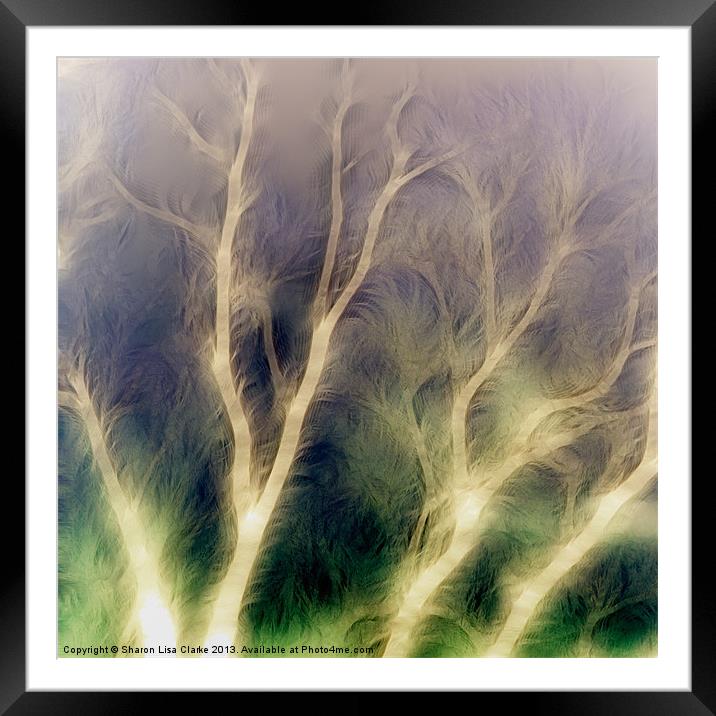 Mystic trees inverted Framed Mounted Print by Sharon Lisa Clarke
