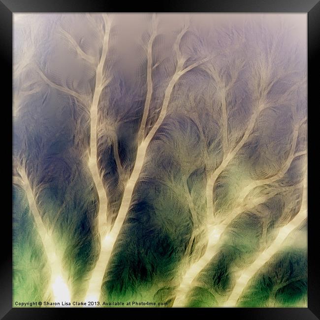 Mystic trees inverted Framed Print by Sharon Lisa Clarke