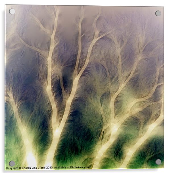 Mystic trees inverted Acrylic by Sharon Lisa Clarke