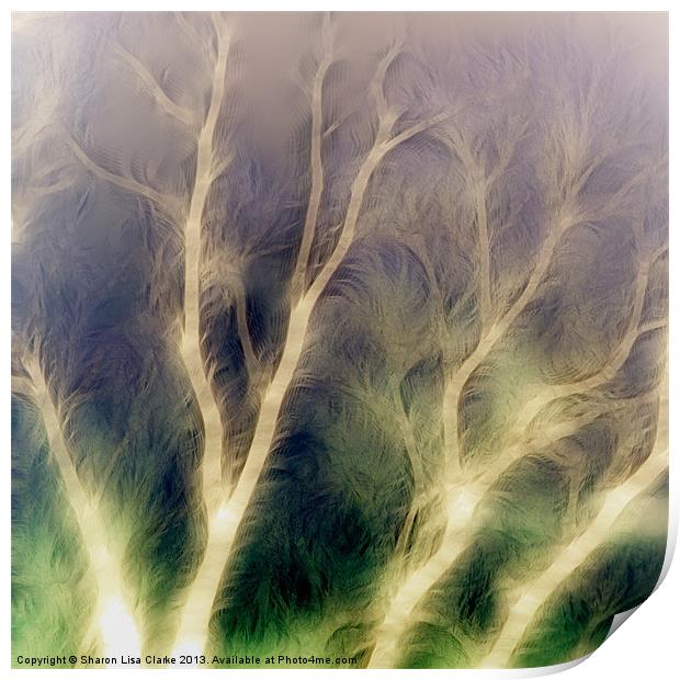 Mystic trees inverted Print by Sharon Lisa Clarke