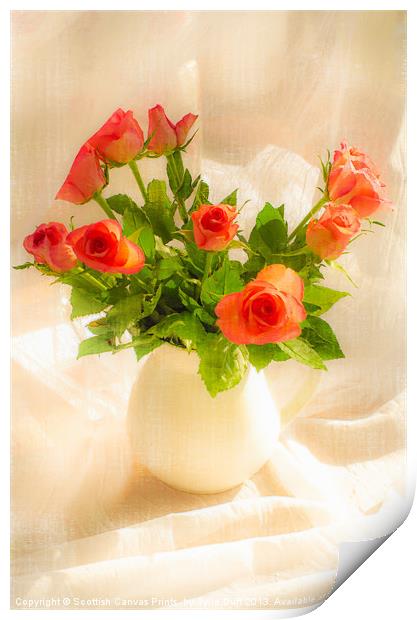 Red Roses Print by Tylie Duff Photo Art