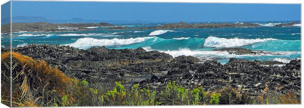 Boulanger Bay, Cape Grim Canvas Print by Lenka Dunn