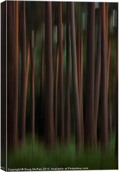 Pine trees Canvas Print by Doug McRae