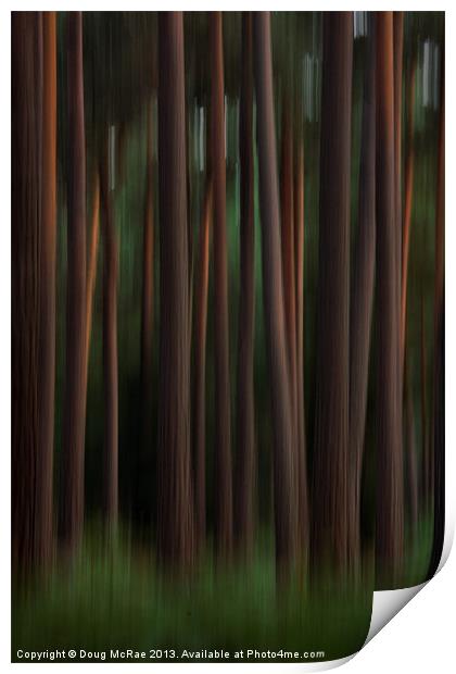 Pine trees Print by Doug McRae