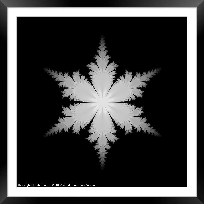 Fractal Snowflake Framed Mounted Print by Colin Forrest