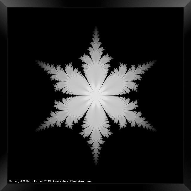 Fractal Snowflake Framed Print by Colin Forrest