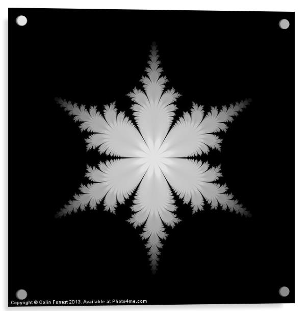 Fractal Snowflake Acrylic by Colin Forrest