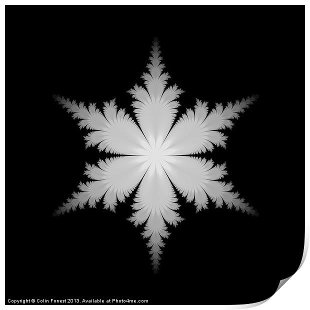 Fractal Snowflake Print by Colin Forrest