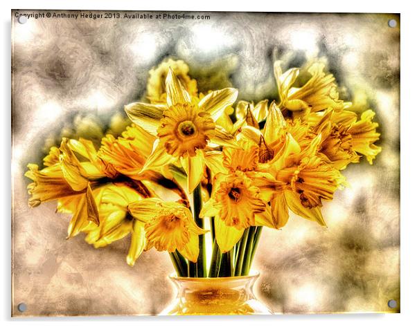 Daffs Acrylic by Anthony Hedger