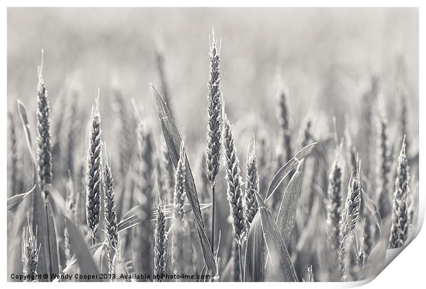 Ears of Wheat Print by Wendy Cooper