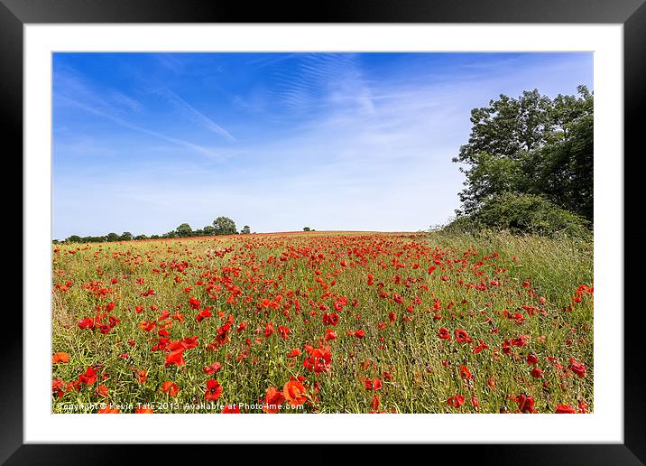 Field Poppies Framed Mounted Print by Kevin Tate