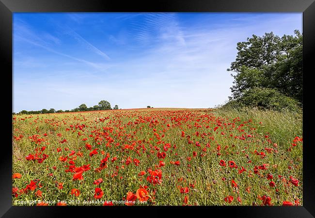 Field Poppies Framed Print by Kevin Tate