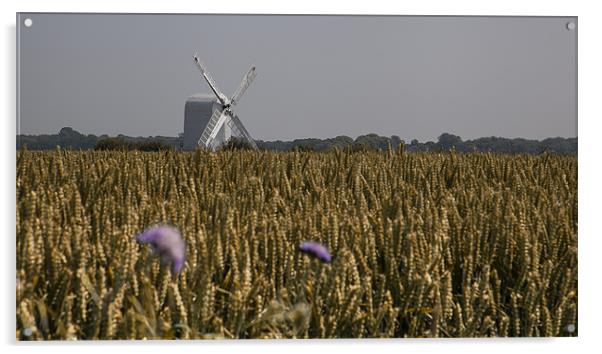 Chillenden Windmill - Kent Acrylic by Nigel Jones