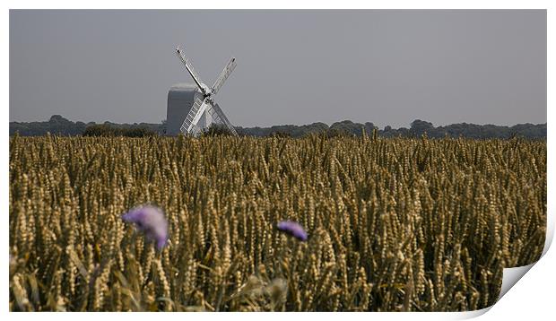 Chillenden Windmill - Kent Print by Nigel Jones