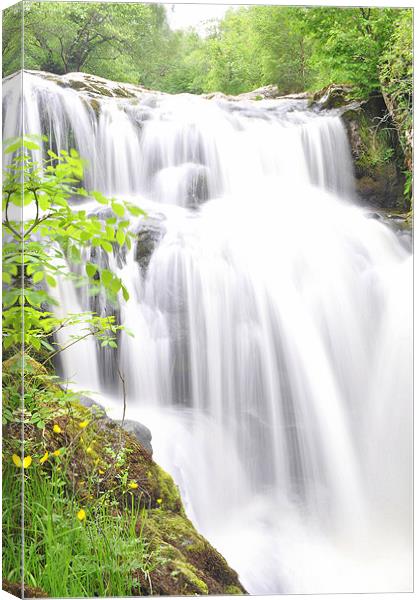 Aira Force 1 Canvas Print by Oliver Firkins